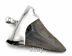 Large Megalodon Shark Tooth Pendant Megalodon Tooth with Sterling Silver Cap