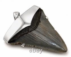 Large Megalodon Shark Tooth Pendant Megalodon Tooth with Sterling Silver Cap
