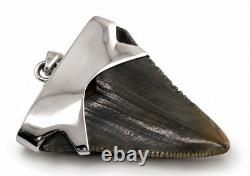 Large Megalodon Shark Tooth Pendant Megalodon Tooth with Sterling Silver Cap