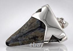 Large Megalodon Shark Tooth Pendant Megalodon Tooth with Sterling Silver Cap-P
