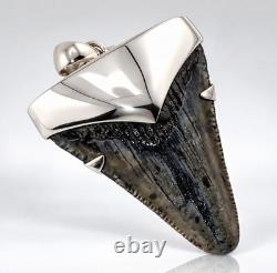 Large Megalodon Shark Tooth Pendant Megalodon Tooth with Sterling Silver Cap-P