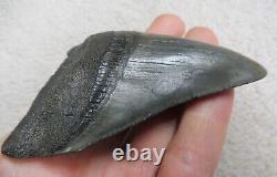 Large Megalodon tooth 4.088 inches (10.38 cm)