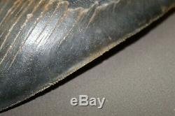 MEGALODON Fossil Giant Shark Teeth Natural Large 6.16 HUGE MUSEUM QUALITY