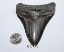 MEGALODON Fossil Giant Shark Tooth NO Repair Natural 3.92 HUGE COMMERCIAL GRADE