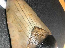 MEGALODON Fossil Giant Shark Tooth Ocean No Repair 5.40 HUGE BEAUTIFUL TOOTH