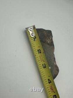 MEGALODON SHARK TOOTH 3.85in MASSIVE FOSSIL RARE