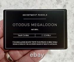 MEGALODON SHARK TOOTH 4 & 3/4 in. REAL FOSSIL With DISPLAY STAND & ID