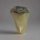 Megalodon Shark Tooth Fossil 4.1 Found Scuba Diving Coastal N. C