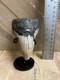 Megalodon Shark Tooth Real Fossil With Display Stand