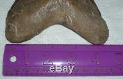 MEGALODON Shark Tooth LARGE 5 7/8 Slant x 5 1/2 H x 4 1/2 W 15+ Oz JAW FOSSIL