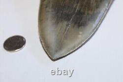 MEGALODON Shark Tooth NO Repair All Natural 5.47 HUGE MUSEUM QUALITY