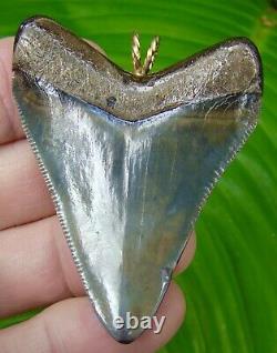 MEGALODON Shark Tooth Necklace 2 & 1/2 in. JUVENILE MEG 14K GOLD BALE