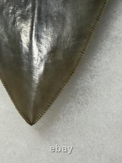 MEGALODON Shark Tooth No Repair Natural 4.19 St Mary's RIVER GA COLLECTOR GRADE