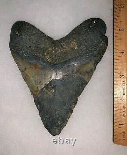MONSTER Framed MEGALODON Shark Tooth with Display Stand! 5.5 INCHES! NO REPAIR