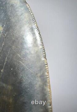 MONSTER MEGALODON Fossil Shark Tooth 6.12 INCHES! NO REPAIR! FANTASTIC SERRATION