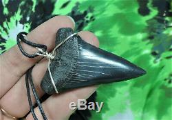 Mako Sharks Tooth Necklace 2 7/16'' jewelry NO RESTORATIONS/ megalodon