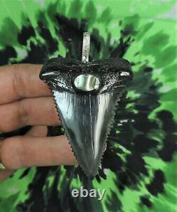 Mako Sharks Tooth pendant BEAUTIFUL! Fossil sharks teeth tooth/ megalodon