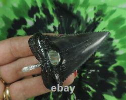 Mako Sharks Tooth pendant BEAUTIFUL! Fossil sharks teeth tooth/ megalodon