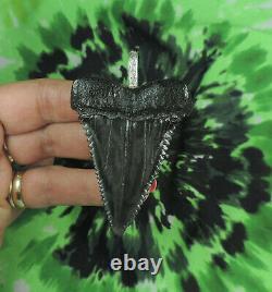 Mako Sharks Tooth pendant BEAUTIFUL! Fossil sharks teeth tooth/ megalodon