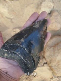 Massive Beautiful 6.6 Megalodon Tooth Fossil Shark Teeth