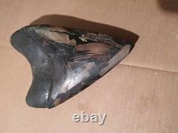 Massive Beautiful 6.6 Megalodon Tooth Fossil Shark Teeth