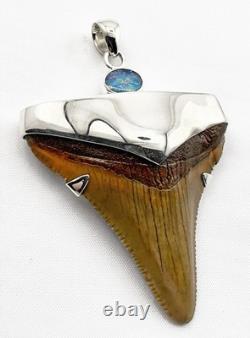 Meg Shark Tooth Pendant Megalodon Tooth with 925 Silver Cap & Australian Opal