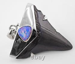 Meg Shark Tooth Pendant Megalodon Tooth with 925 Silver Cap & Australian Opal