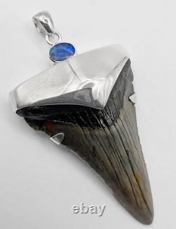 Meg Shark Tooth Pendant Megalodon Tooth with 925 Silver Cap & Australian Opal