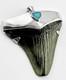 Meg Shark Tooth Pendant Megalodon Tooth With 925 Silver Cap & Australian Opal