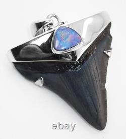 Meg Shark Tooth Pendant Megalodon Tooth with 925 Silver Cap & Australian Opal Meg Shark Tooth Pendant Megalodon Tooth with 925 Silver Cap & Australian Opal