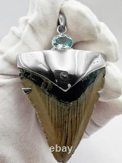Meg Shark Tooth Pendant Megalodon Tooth with 925 Silver Cap & Blue Topaz