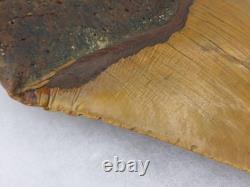 Megalodon 6.19 Shark Tooth Fossil Atlantic Coast, SC Otodus megalodon