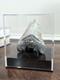 Megalodon Fossil Fossilized Shark Tooth 4.25 No Restoration With Display Case