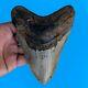Megalodon Fossil Shark Tooth? 5.3? Authentic No Restoration Teeth T81