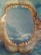 Megalodon Jaw Replica Hand Painted, Teeth Cast From Real Teeth. Over 180 Teeth