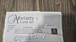 Megalodon Shark Tooth