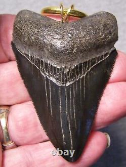 Megalodon Shark Tooth 2 3/4 Real Shark Teeth Necklace Fossil Big Viking Jewel