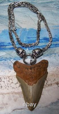 Megalodon Shark Tooth 3 1/2 Real Shark Teeth Necklace Fossil Huge Viking Gem