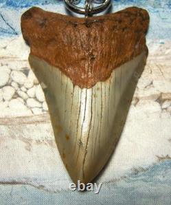Megalodon Shark Tooth 3 1/2 Real Shark Teeth Necklace Fossil Huge Viking Gem