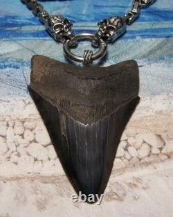 Megalodon Shark Tooth 3 1/4 Real Shark Teeth Necklace Fossil Big Viking Gem