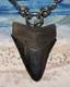 Megalodon Shark Tooth 3 1/4 Real Shark Teeth Necklace Fossil Big Viking Gem