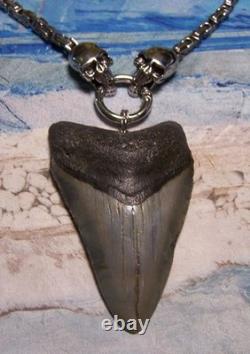 Megalodon Shark Tooth 3 1/4 Real Shark Teeth Necklace Fossil Big Viking Gem