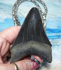 Megalodon Shark Tooth 3 1/4 Real Shark Teeth Necklace Fossil Big Viking Gem