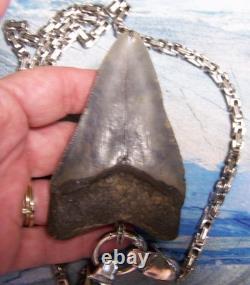 Megalodon Shark Tooth 3 1/4 Real Shark Teeth Necklace Fossil Big Viking Gem