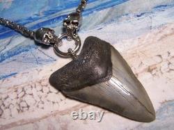 Megalodon Shark Tooth 3 1/4 Real Shark Teeth Necklace Fossil Big Viking Gem