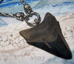 Megalodon Shark Tooth 3 1/4 Real Shark Teeth Necklace Fossil Big Viking Gem