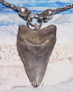 Megalodon Shark Tooth 3 1/4 Real Shark Teeth Necklace Fossil Big Viking Gem