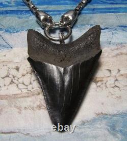 Megalodon Shark Tooth 3 1/4 Real Shark Teeth Necklace Fossil Big Viking Gem