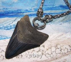 Megalodon Shark Tooth 3 1/4 Real Shark Teeth Necklace Fossil Big Viking Gem