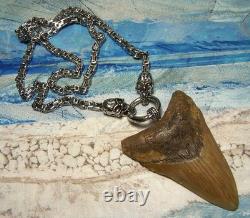Megalodon Shark Tooth 3 1/4 Real Shark Teeth Necklace Fossil Huge Viking Gem